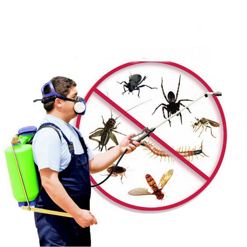 Dịch Vụ Diệt Muỗi Quận Tân Bình – Dịch Vụ Phun Muỗi 