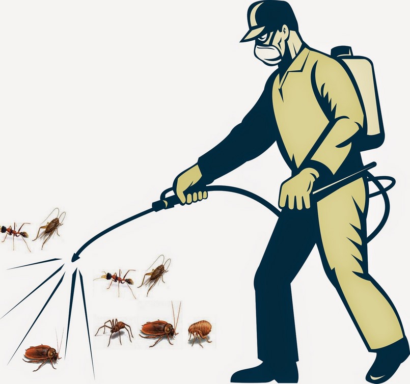 Dịch vụ diệt muỗi Củ Chi