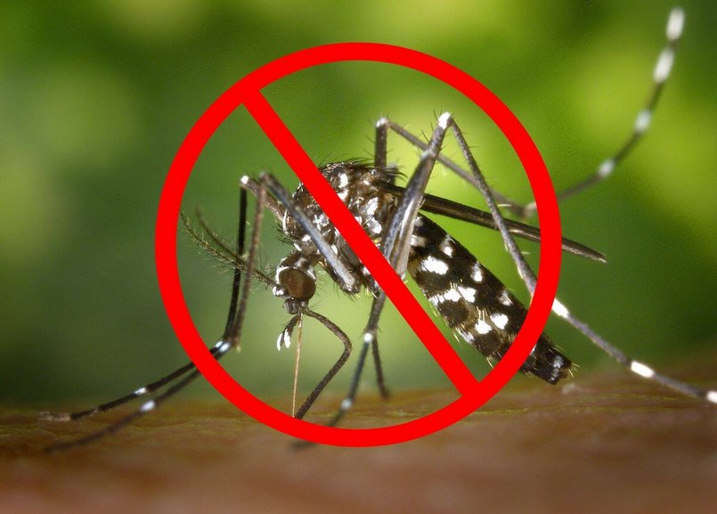 Muỗi là một loài côn trùng biết bay thuộc bộ hai cánh (Diptera) chúng chủ yếu sống bằng cách hút máu ở người và cả động vật