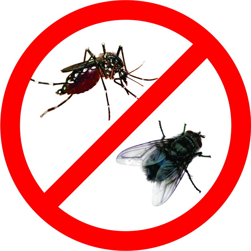Bảng giá dịch vụ phun muỗi và diệt muỗi tại Quận 3