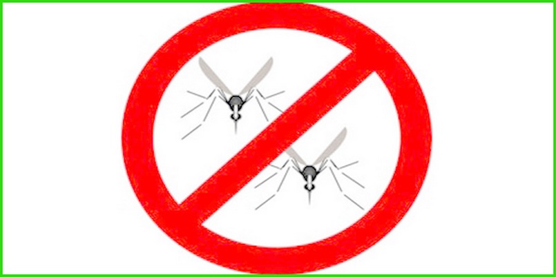 dịch vụ diệt muỗi quận Bình Tân