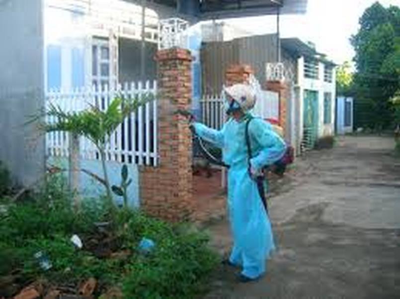 Dịch vụ diệt muỗi quận Phú Nhuận 
