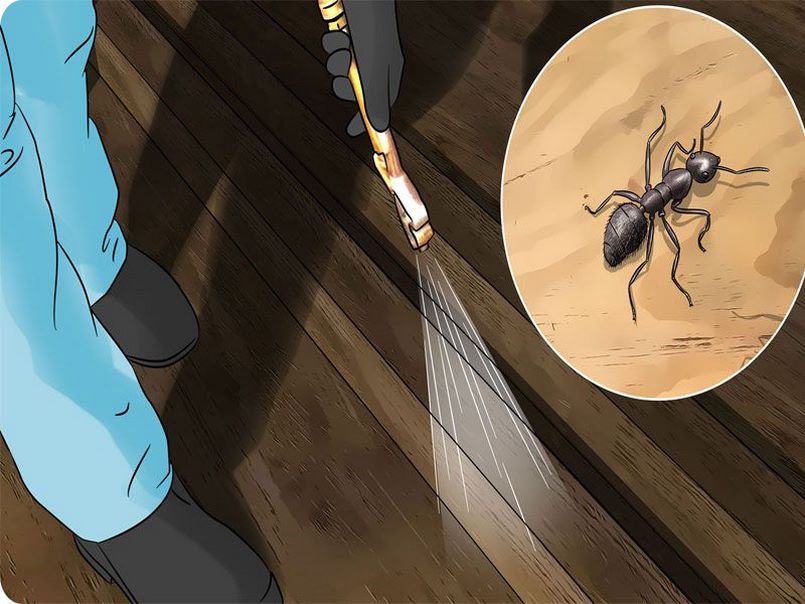 Diệt Muỗi Quận Gò Vấp – Dịch Vụ Phun Muỗi Côn Trùng Quận Gò Vấp